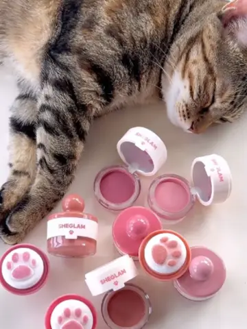 Calling all cat & blush lovers 🐈 🎀 ID: 492169683 #blush #BlushRoutine #BlushO…