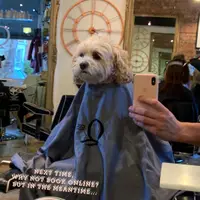 @sydhayeshair profile picture