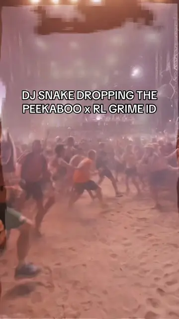 MADNESS #djsnake #rlgrime #peekaboo #bassmusic