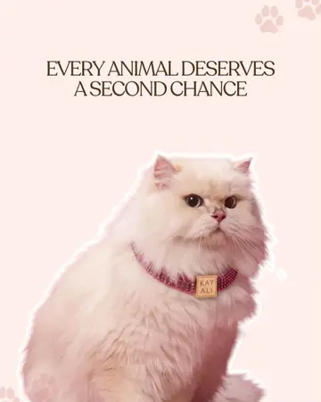 At KAYALI Cares, we believe every act of kindness has the power to make a lasti…
