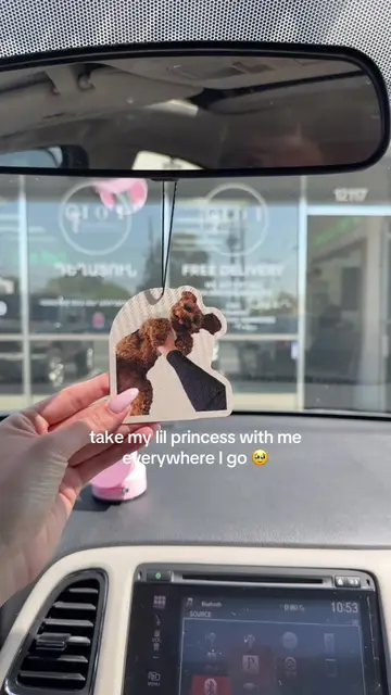 customized air freshener and obvi I got my babygirl bella so I can look at her…