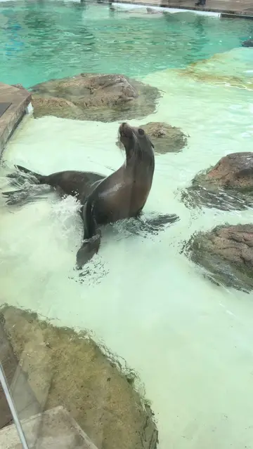 TikTok video by @stick