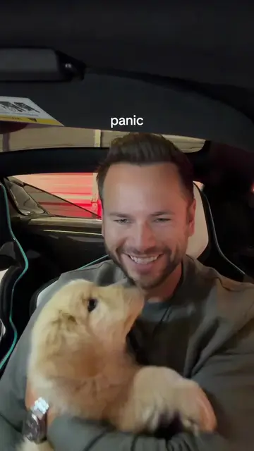 a true rollercoaster of emotions for little Corsa #mclaren #goldenretriever #go…