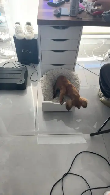 She’s beefing the floor