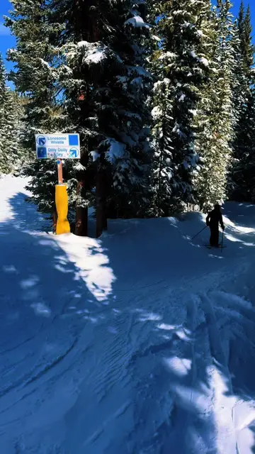 Having some fun down #dillydallyalley at @Winter Park Resort with the fam 🎿