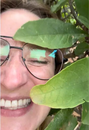 Prune your bushes. I’m out here rating landscaping again… #kcmo