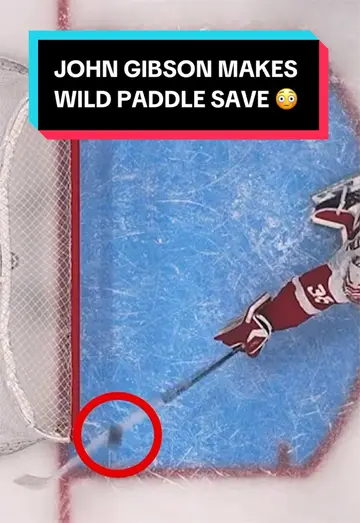 WHAT 😱 #NHL #JohnGibson #DetroitRedWings #hockey #sports