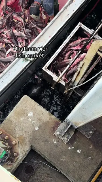 gotta go and check it