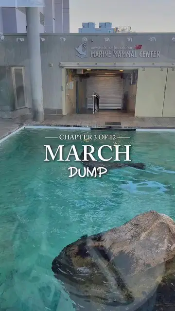 march was fun, april will be cooler 😼#CapCut #fyp #march #marchdump