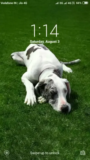 TikTok video by @instant