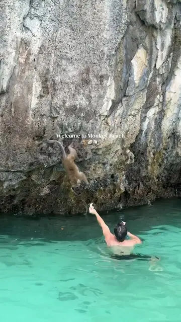 Never thought I would ever be here! 🐒🥹🥥 Tag someone you want to go to Monkey…