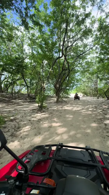 cruzin