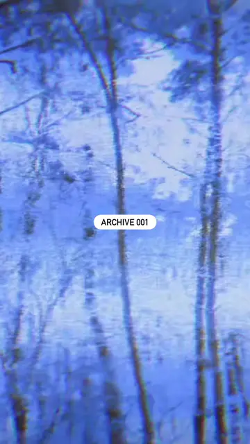 ARCHIVE_01 OUT NOW