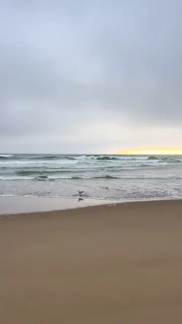 TikTok video by @8pm