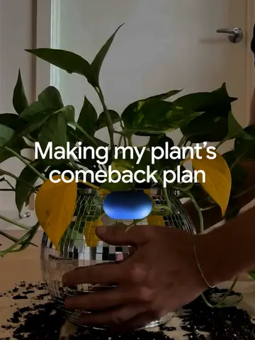 Figure out what your plant is secretly trying to tell you with Gemini Live. 🪴…