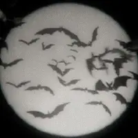 @djo profile picture