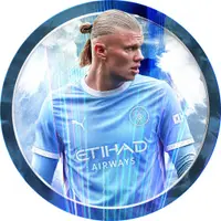 @erling profile picture