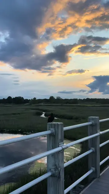 ⛅️🌊🤍