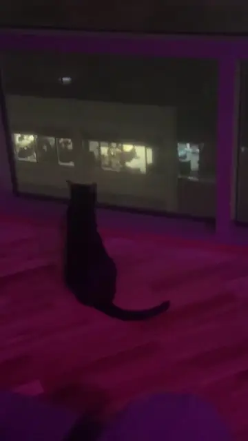 TikTok video by @mike