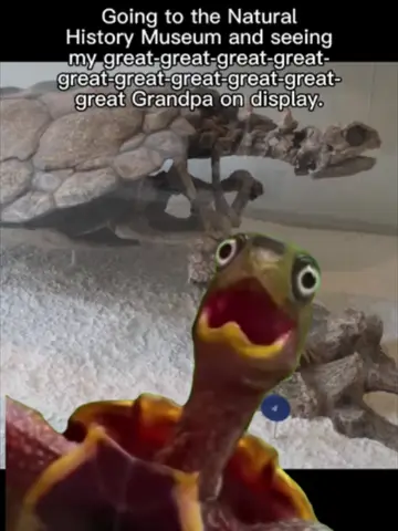 if you think about it, it's a little messed up. Proganochelys, one of the earli…