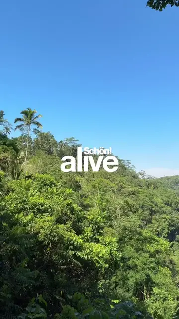 Get ready to experience the enchanting vibes of Bali’s central highlands! 🌿✨ D…