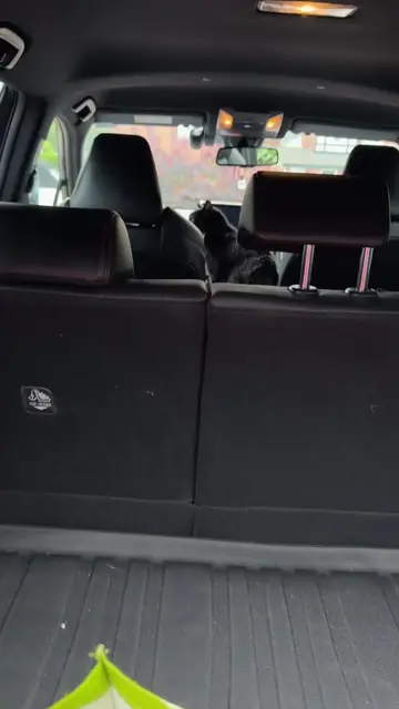 Arthur is now navigating from the armrest. Directions unclear. Volume VERY clea…