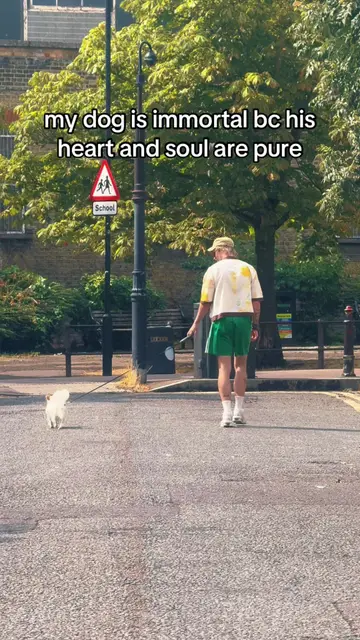 did you know your dog is also immortal if you have a joyous empathetic spirit #…