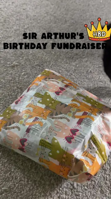 17 years ago, I found a tiny kitten on the street. Scared, malnourished, covere…